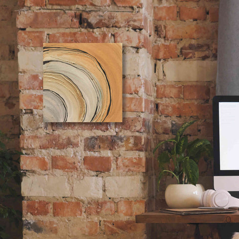 Image of 'Gilded Rings' by Chris Paschke, Canvas Wall Art,12 x 12