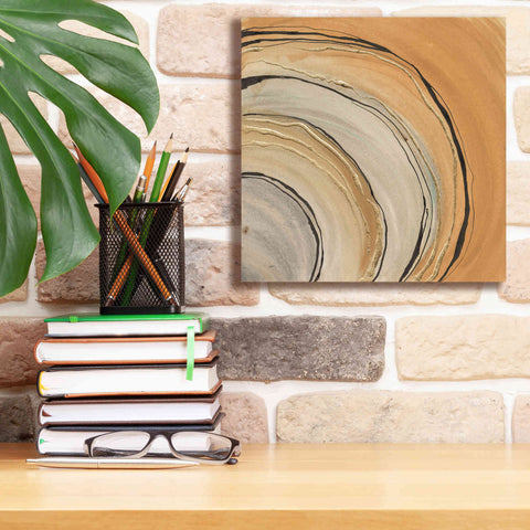 Image of 'Gilded Rings' by Chris Paschke, Canvas Wall Art,12 x 12