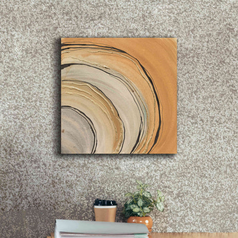 Image of 'Gilded Rings' by Chris Paschke, Canvas Wall Art,18 x 18