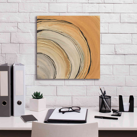 Image of 'Gilded Rings' by Chris Paschke, Canvas Wall Art,18 x 18