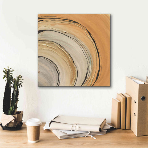 Image of 'Gilded Rings' by Chris Paschke, Canvas Wall Art,18 x 18