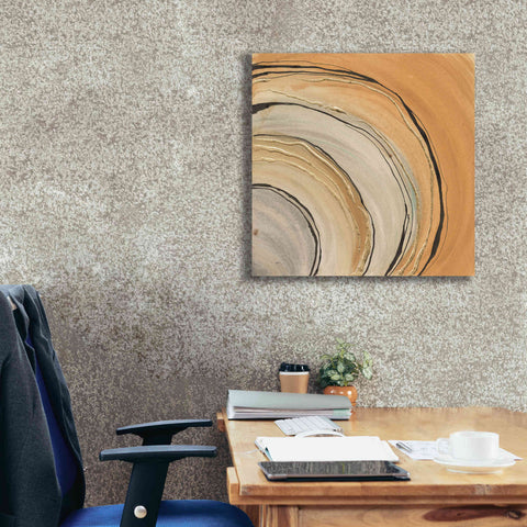 Image of 'Gilded Rings' by Chris Paschke, Canvas Wall Art,26 x 26