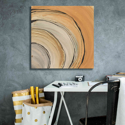 Image of 'Gilded Rings' by Chris Paschke, Canvas Wall Art,26 x 26