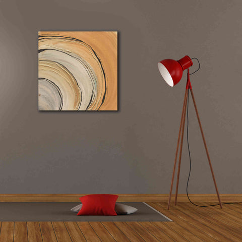 Image of 'Gilded Rings' by Chris Paschke, Canvas Wall Art,26 x 26