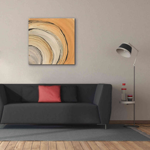 Image of 'Gilded Rings' by Chris Paschke, Canvas Wall Art,37 x 37