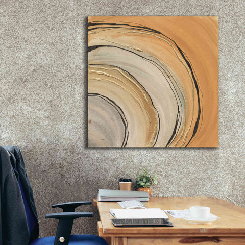 Image of 'Gilded Rings' by Chris Paschke, Canvas Wall Art,37 x 37