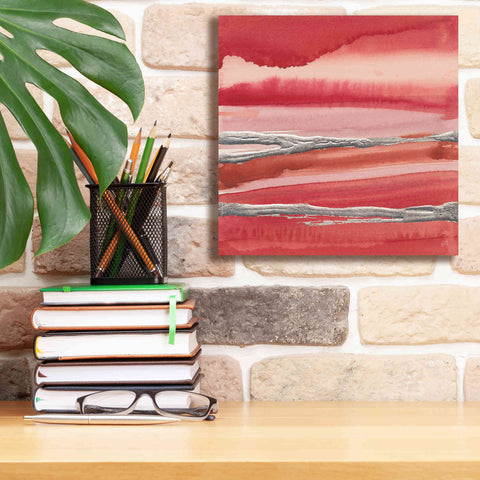 Image of 'Silver Marsh' by Chris Paschke, Canvas Wall Art,12 x 12