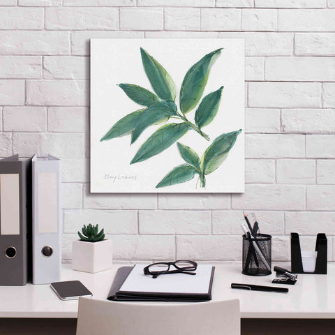 Image of 'Bay Leaf' by Chris Paschke, Canvas Wall Art,18 x 18