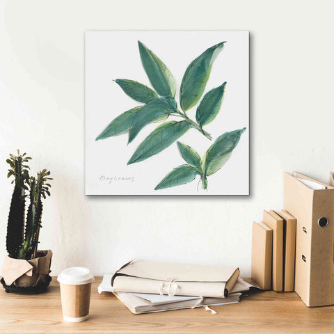 Image of 'Bay Leaf' by Chris Paschke, Canvas Wall Art,18 x 18