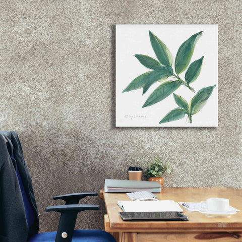Image of 'Bay Leaf' by Chris Paschke, Canvas Wall Art,26 x 26
