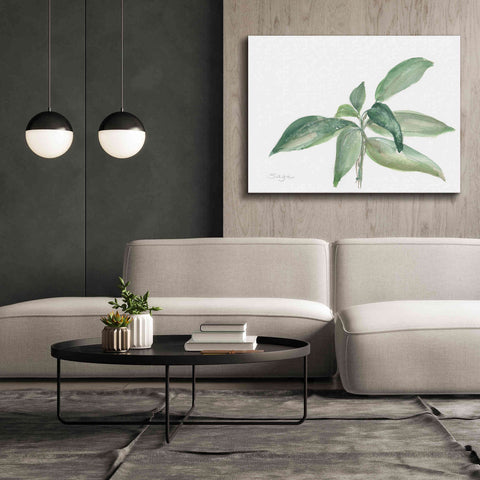 Image of 'Sage I' by Chris Paschke, Canvas Wall Art,54 x 40