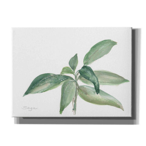 Image of 'Sage I' by Chris Paschke, Canvas Wall Art