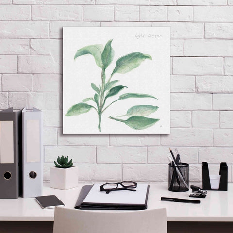 Image of 'Sage II' by Chris Paschke, Canvas Wall Art,18 x 18