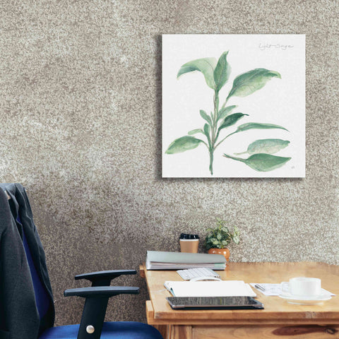 Image of 'Sage II' by Chris Paschke, Canvas Wall Art,26 x 26