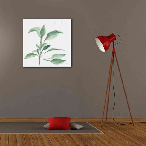 Image of 'Sage II' by Chris Paschke, Canvas Wall Art,26 x 26