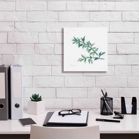 Image of 'Thyme' by Chris Paschke, Canvas Wall Art,12 x 12