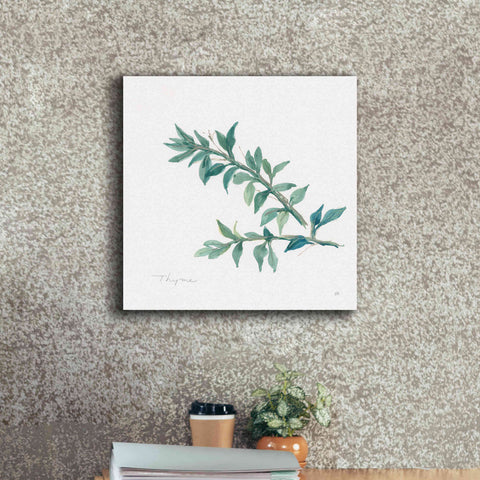 Image of 'Thyme' by Chris Paschke, Canvas Wall Art,18 x 18