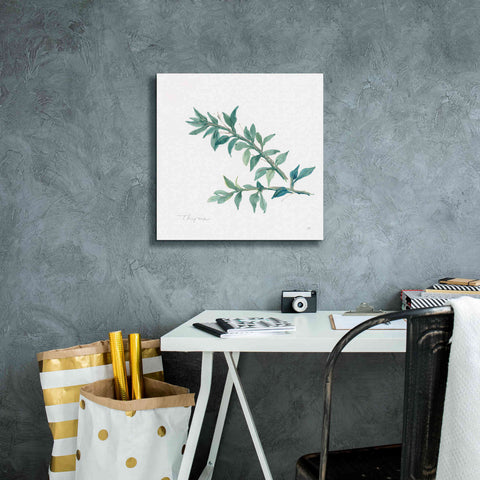 Image of 'Thyme' by Chris Paschke, Canvas Wall Art,18 x 18