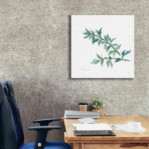 Image of 'Thyme' by Chris Paschke, Canvas Wall Art,26 x 26