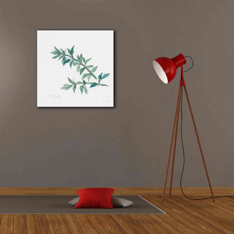 Image of 'Thyme' by Chris Paschke, Canvas Wall Art,26 x 26