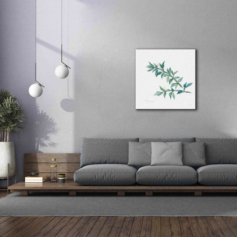 Image of 'Thyme' by Chris Paschke, Canvas Wall Art,37 x 37