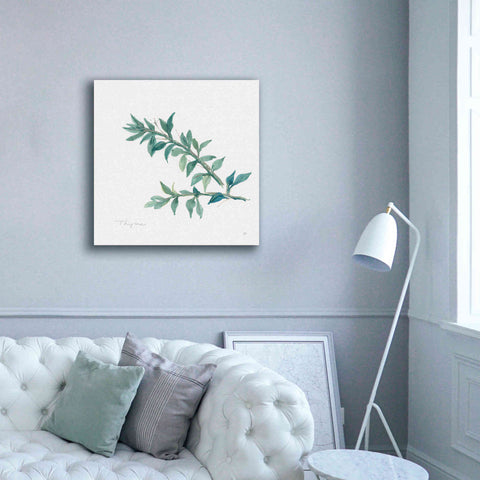 Image of 'Thyme' by Chris Paschke, Canvas Wall Art,37 x 37