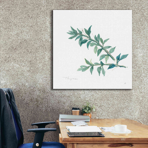 Image of 'Thyme' by Chris Paschke, Canvas Wall Art,37 x 37