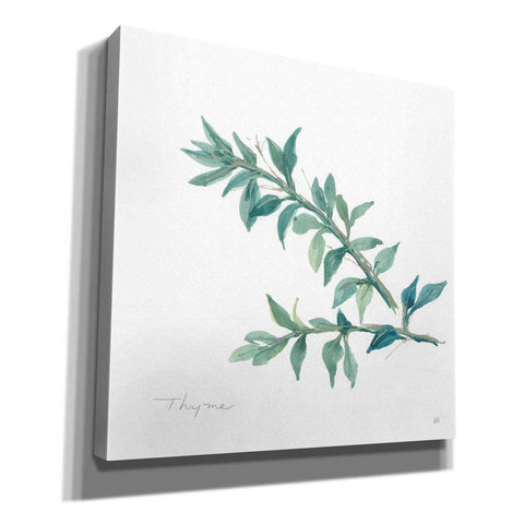 Image of 'Thyme' by Chris Paschke, Canvas Wall Art