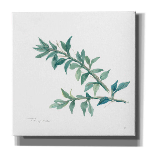 Image of 'Thyme' by Chris Paschke, Canvas Wall Art