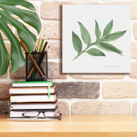 Image of 'Sweet Bay' by Chris Paschke, Canvas Wall Art,12 x 12