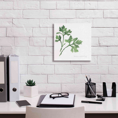 Image of 'Italian Parsley' by Chris Paschke, Canvas Wall Art,12 x 12