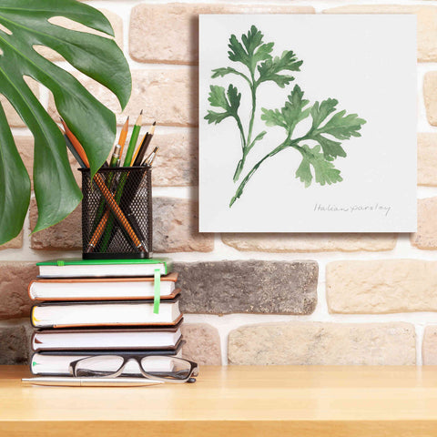 Image of 'Italian Parsley' by Chris Paschke, Canvas Wall Art,12 x 12