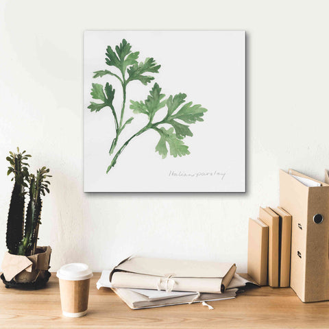 Image of 'Italian Parsley' by Chris Paschke, Canvas Wall Art,18 x 18