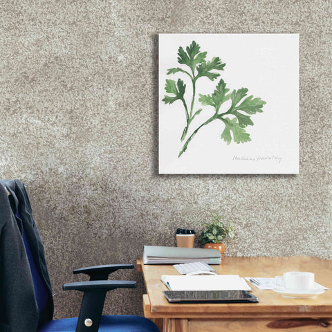 Image of 'Italian Parsley' by Chris Paschke, Canvas Wall Art,26 x 26