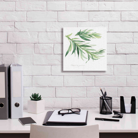 Image of 'Tarragon' by Chris Paschke, Canvas Wall Art,12 x 12