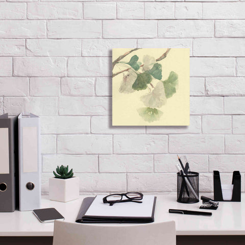 Image of 'Gingko Leaves I' by Chris Paschke, Canvas Wall Art,12 x 12