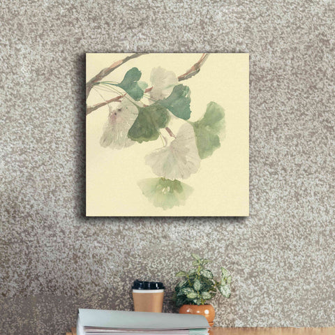 Image of 'Gingko Leaves I' by Chris Paschke, Canvas Wall Art,18 x 18