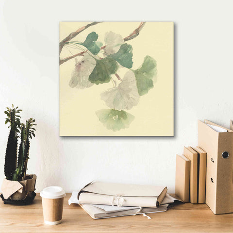 Image of 'Gingko Leaves I' by Chris Paschke, Canvas Wall Art,18 x 18