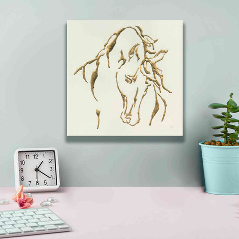 Image of 'Gilded Stallion' by Chris Paschke, Giclee Canvas Wall Art,12 x 12