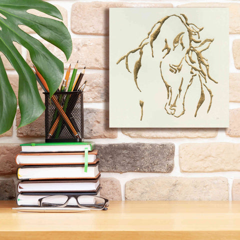 Image of 'Gilded Stallion' by Chris Paschke, Giclee Canvas Wall Art,12 x 12