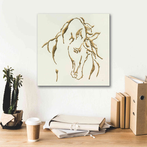 Image of 'Gilded Stallion' by Chris Paschke, Giclee Canvas Wall Art,18 x 18