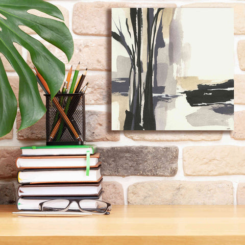 Image of 'Placid I' by Chris Paschke, Giclee Canvas Wall Art,12 x 12