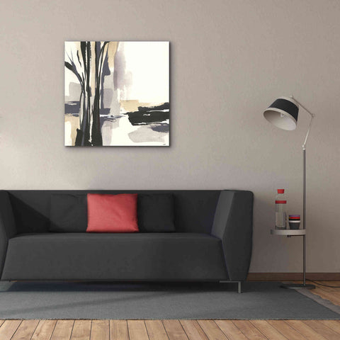 Image of 'Placid I' by Chris Paschke, Giclee Canvas Wall Art,37 x 37