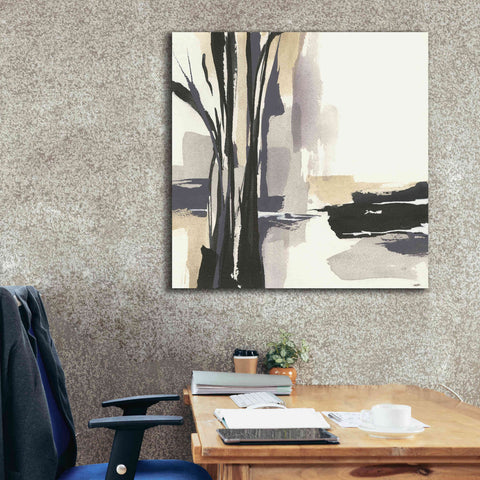 Image of 'Placid I' by Chris Paschke, Giclee Canvas Wall Art,37 x 37