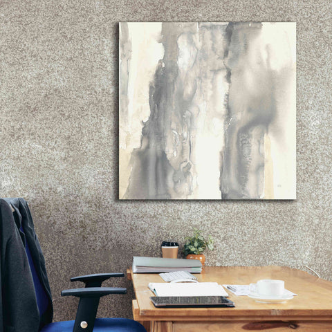 Image of 'Pale Taupe II' by Chris Paschke, Giclee Canvas Wall Art,37 x 37