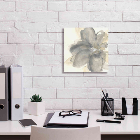 Image of 'Floral Gray I' by Chris Paschke, Giclee Canvas Wall Art,12 x 12