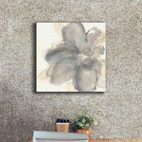 Image of 'Floral Gray I' by Chris Paschke, Giclee Canvas Wall Art,18 x 18