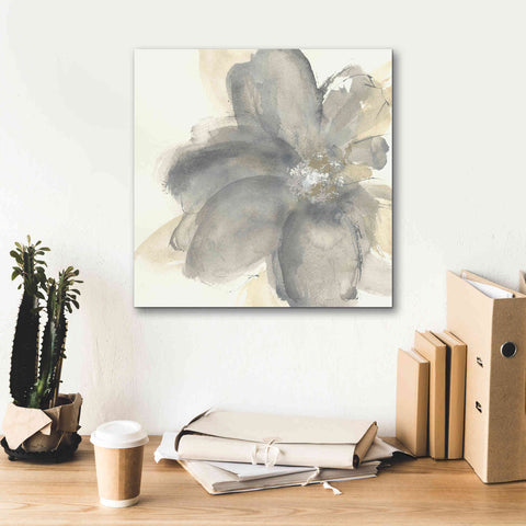 Image of 'Floral Gray I' by Chris Paschke, Giclee Canvas Wall Art,18 x 18