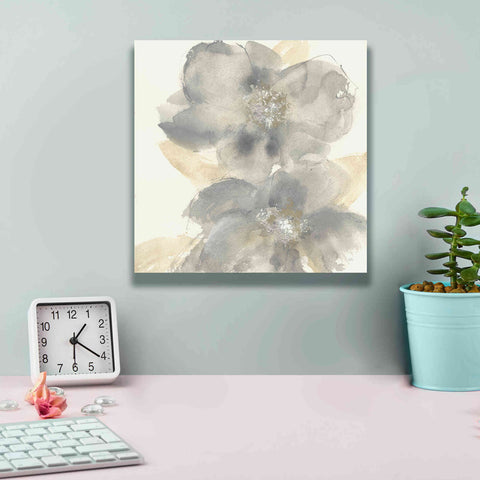 Image of 'Floral Gray II' by Chris Paschke, Giclee Canvas Wall Art,12 x 12