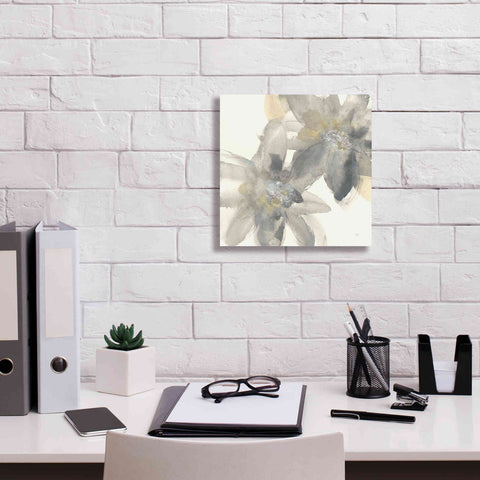 Image of 'Gray And Silver Flowers II' by Chris Paschke, Giclee Canvas Wall Art,12 x 12